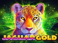 Jaguar Gold